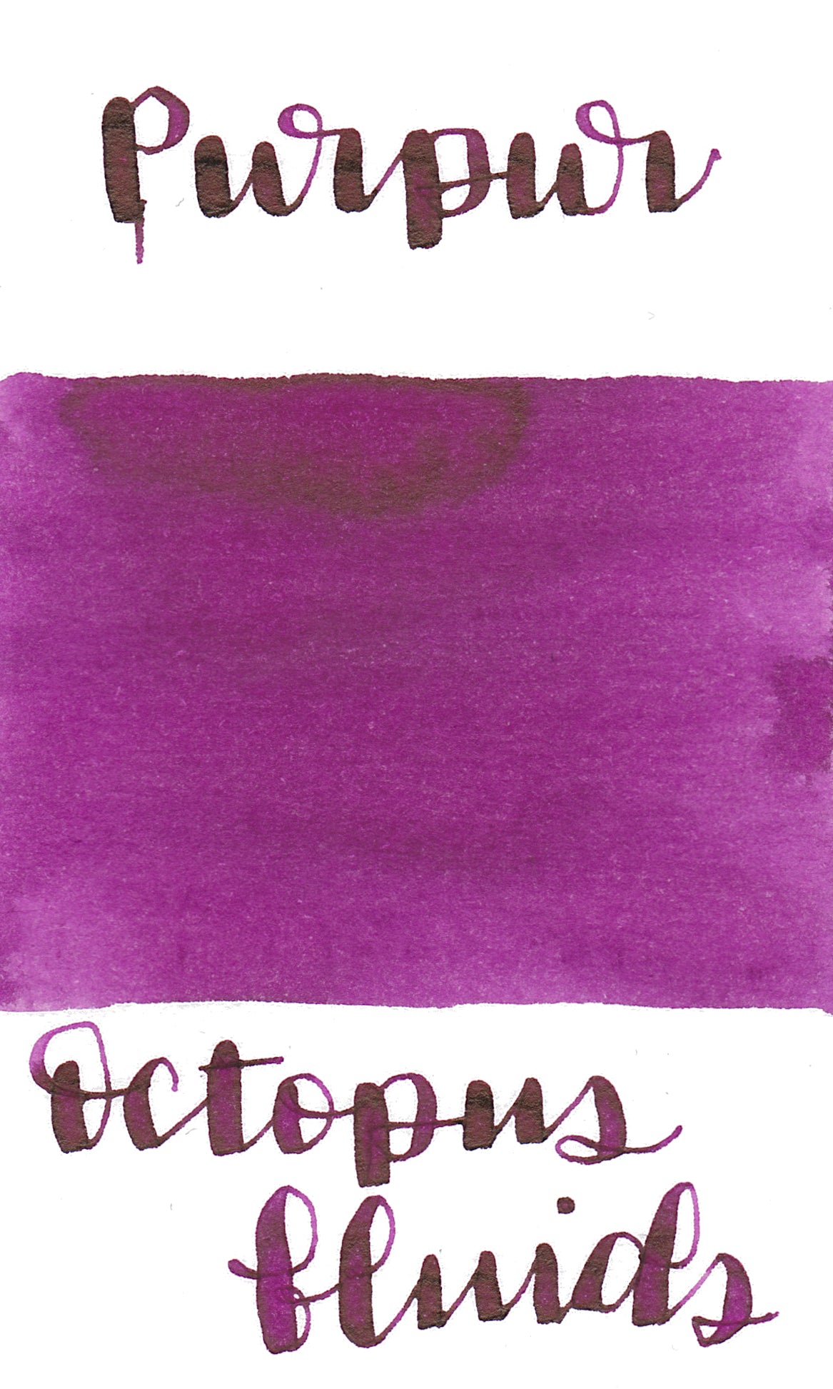 Puple Writing Octopus Purpur (Purple) Writing Ink