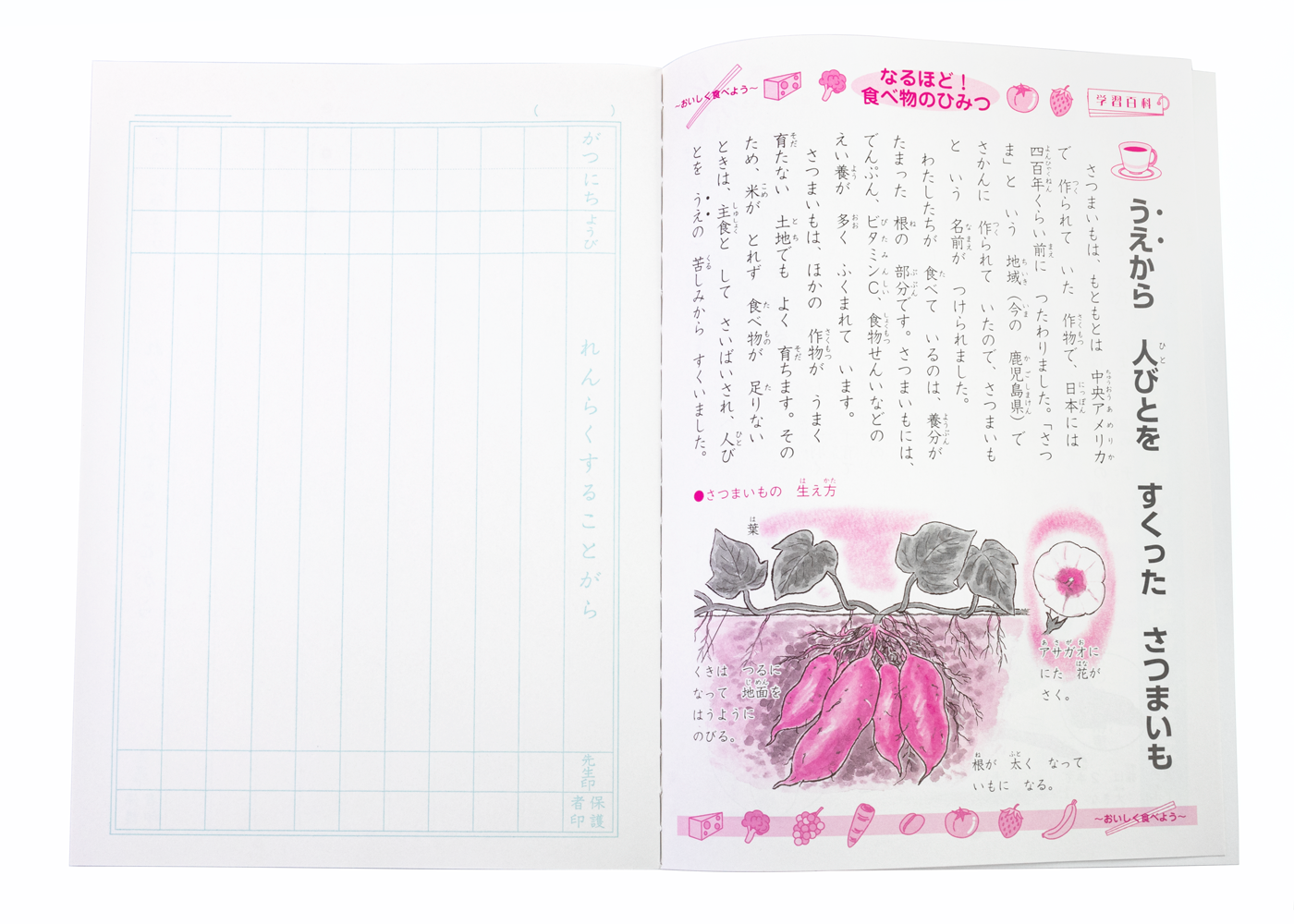 Showa Note Japonica Study Book- Renrakucho