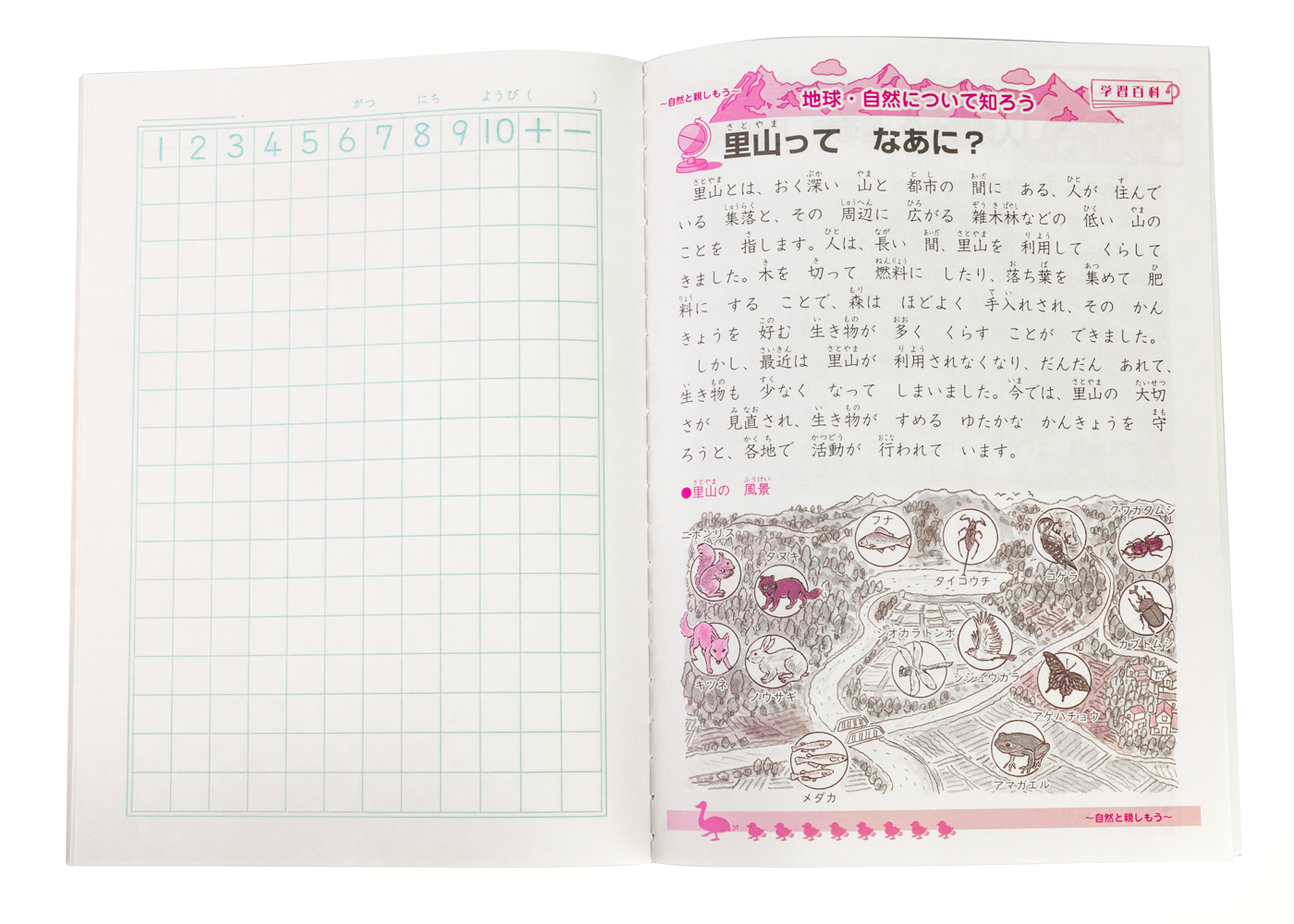 Showa Note Japonica Study Book- Sansu