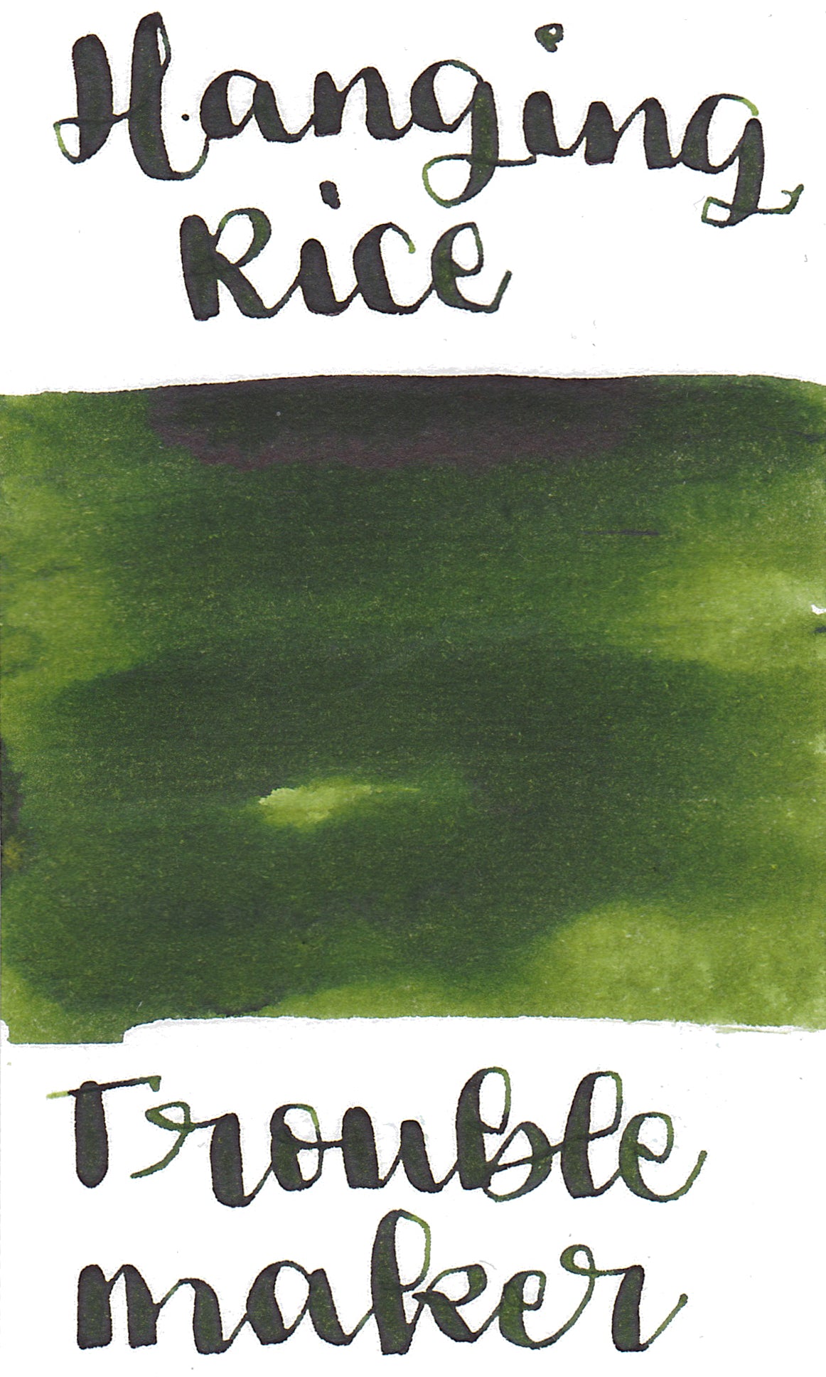 Troublemaker Hanging Rice