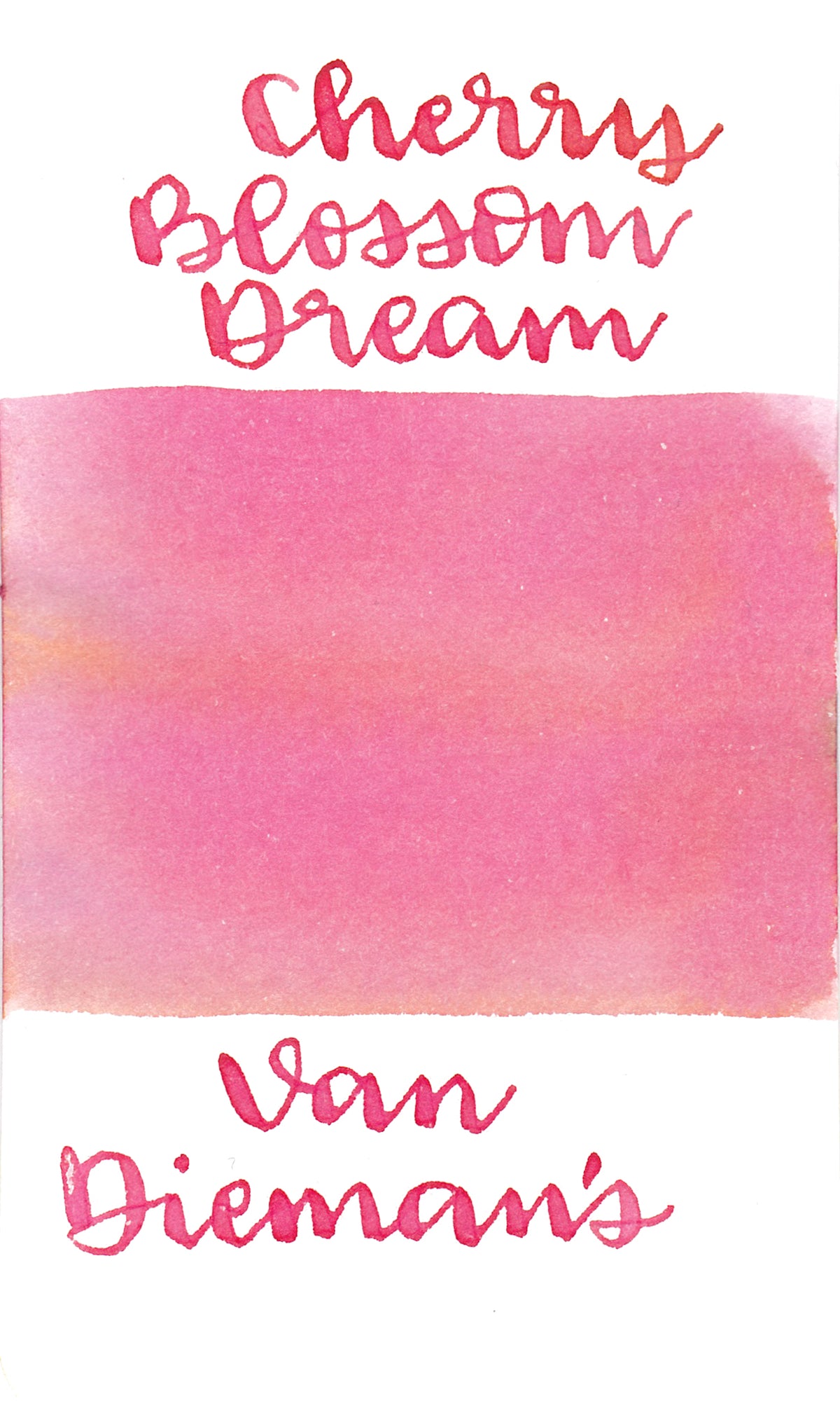 Van Dieman's Night Series- Cherry Blossom Dream